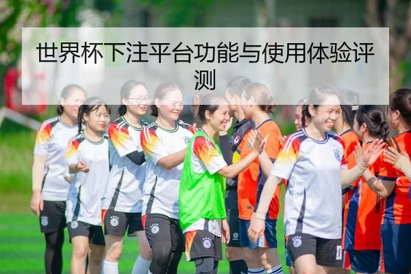 世界杯下注平台功能与使用体验评测