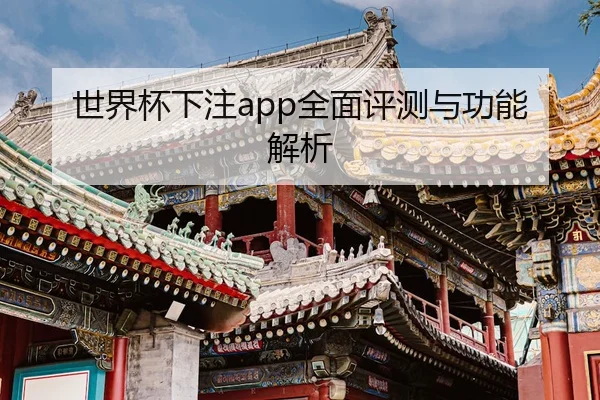 世界杯下注app全面评测与功能解析