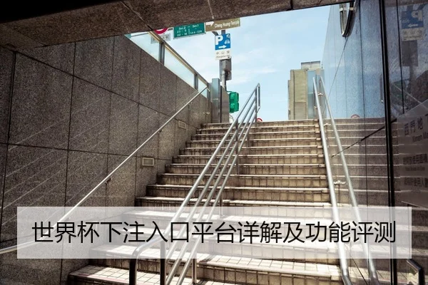 世界杯下注入口平台详解及功能评测