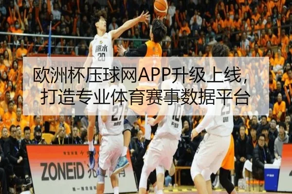 欧洲杯压球网APP升级上线，打造专业体育赛事数据平台