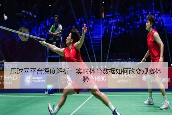 压球网平台深度解析：实时体育数据如何改变观赛体验